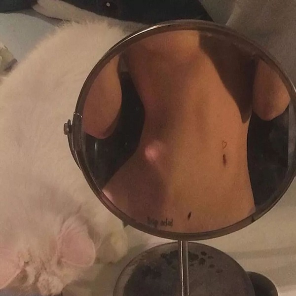 网恋照妖镜